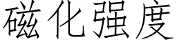 磁化強度 (仿宋矢量字庫)