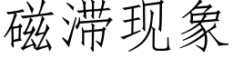 磁滞現象 (仿宋矢量字庫)