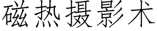 磁熱攝影術 (仿宋矢量字庫)