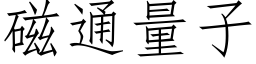 磁通量子 (仿宋矢量字庫)