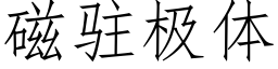 磁驻极体 (仿宋矢量字库)