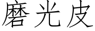 磨光皮 (仿宋矢量字庫)