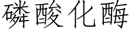 磷酸化酶 (仿宋矢量字库)