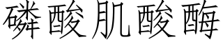 磷酸肌酸酶 (仿宋矢量字库)