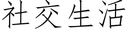 社交生活 (仿宋矢量字库)