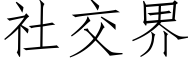 社交界 (仿宋矢量字库)