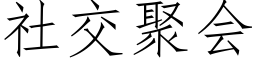 社交聚会 (仿宋矢量字库)