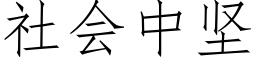 社会中坚 (仿宋矢量字库)