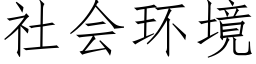 社会环境 (仿宋矢量字库)