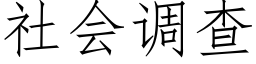 社会调查 (仿宋矢量字库)