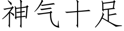 神气十足 (仿宋矢量字库)