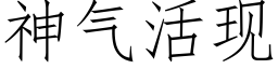 神气活现 (仿宋矢量字库)