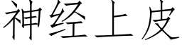 神经上皮 (仿宋矢量字库)