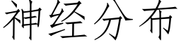 神经分布 (仿宋矢量字库)