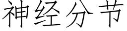 神經分節 (仿宋矢量字庫)