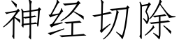 神经切除 (仿宋矢量字库)