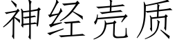 神经壳质 (仿宋矢量字库)