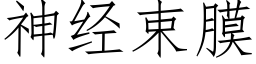 神经束膜 (仿宋矢量字库)