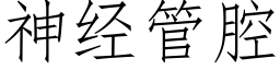 神经管腔 (仿宋矢量字库)