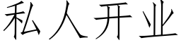 私人开业 (仿宋矢量字库)