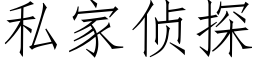 私家侦探 (仿宋矢量字库)