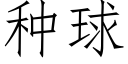 種球 (仿宋矢量字庫)