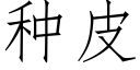 種皮 (仿宋矢量字庫)