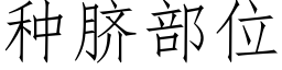 種臍部位 (仿宋矢量字庫)