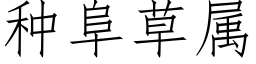 种阜草属 (仿宋矢量字库)