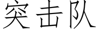 突击队 (仿宋矢量字库)
