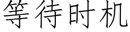 等待時機 (仿宋矢量字庫)