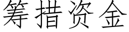 籌措資金 (仿宋矢量字庫)