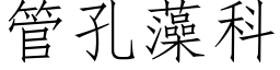 管孔藻科 (仿宋矢量字库)