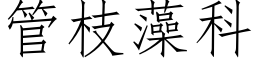 管枝藻科 (仿宋矢量字庫)