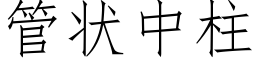 管状中柱 (仿宋矢量字库)