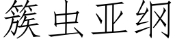 簇虫亚纲 (仿宋矢量字库)