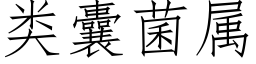 類囊菌屬 (仿宋矢量字庫)