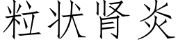 粒状肾炎 (仿宋矢量字库)