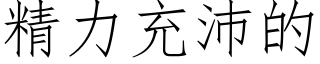 精力充沛的 (仿宋矢量字库)