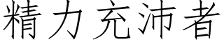 精力充沛者 (仿宋矢量字库)