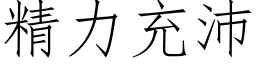 精力充沛 (仿宋矢量字库)