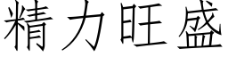 精力旺盛 (仿宋矢量字库)