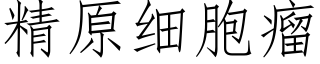 精原細胞瘤 (仿宋矢量字庫)