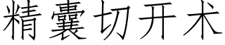 精囊切开术 (仿宋矢量字库)