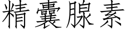 精囊腺素 (仿宋矢量字庫)