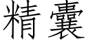 精囊 (仿宋矢量字庫)