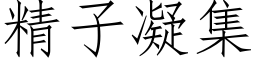 精子凝集 (仿宋矢量字库)