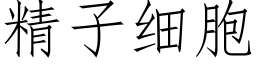 精子细胞 (仿宋矢量字库)
