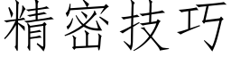 精密技巧 (仿宋矢量字庫)