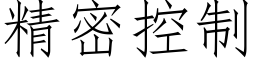 精密控制 (仿宋矢量字庫)